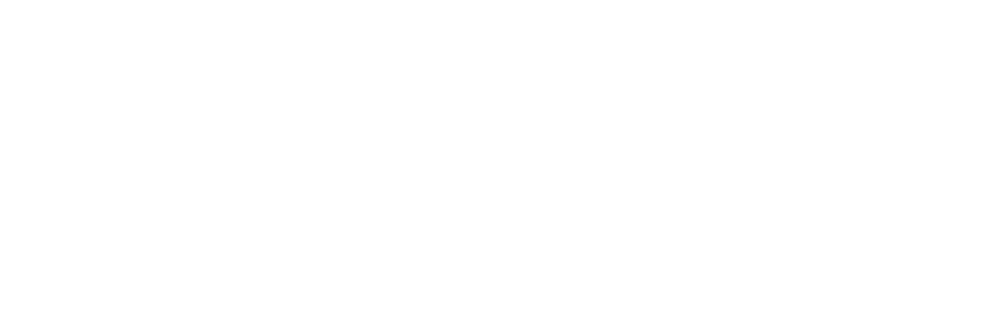 Levine Smith Coburn & Koslin